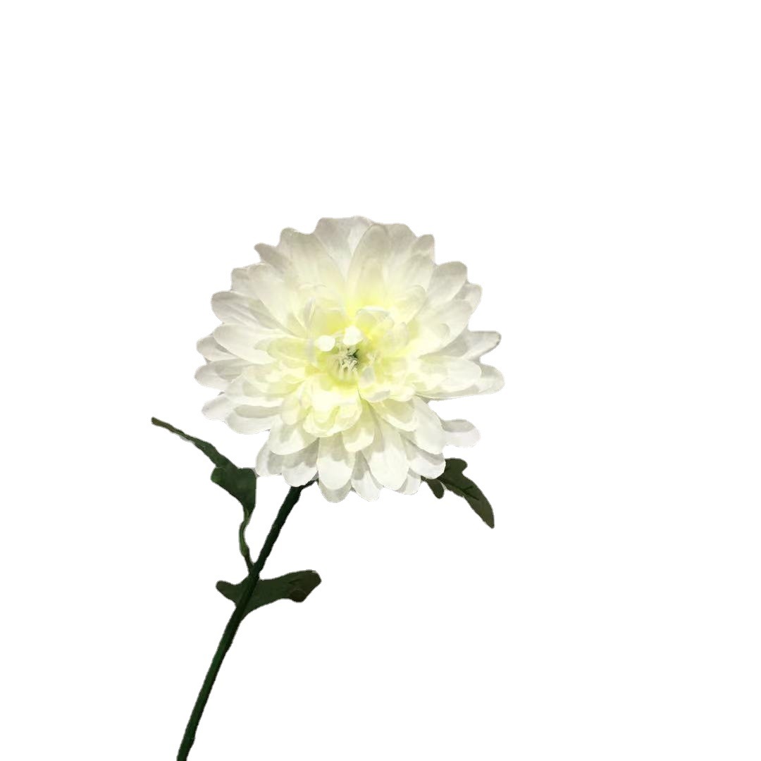 单只菊花清明花扫墓花祭祀祭奠殡葬花仿真菊花白色爪菊花工厂批发