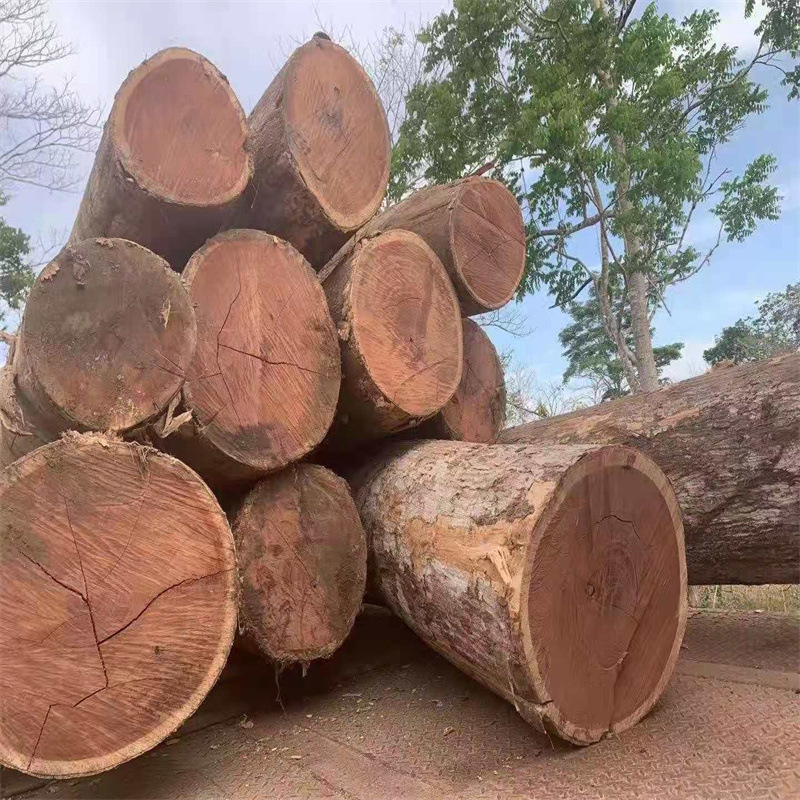 秘鲁红檀香原木 巴拿马红檀香 墨西哥红檀香原木 适用于实木家具