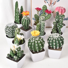 Simulation Green Plant Cactus Cactus Fleshy Flower跨境专供代