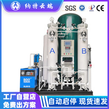 PSA变压吸附制氮装置 高压制氮设备 工业制氮气机设备氮气发生器