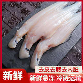 海捕新鲜舌头鱼去腮去皮去内脏龙利鱼海鲜水产海鱼非巴沙鱼