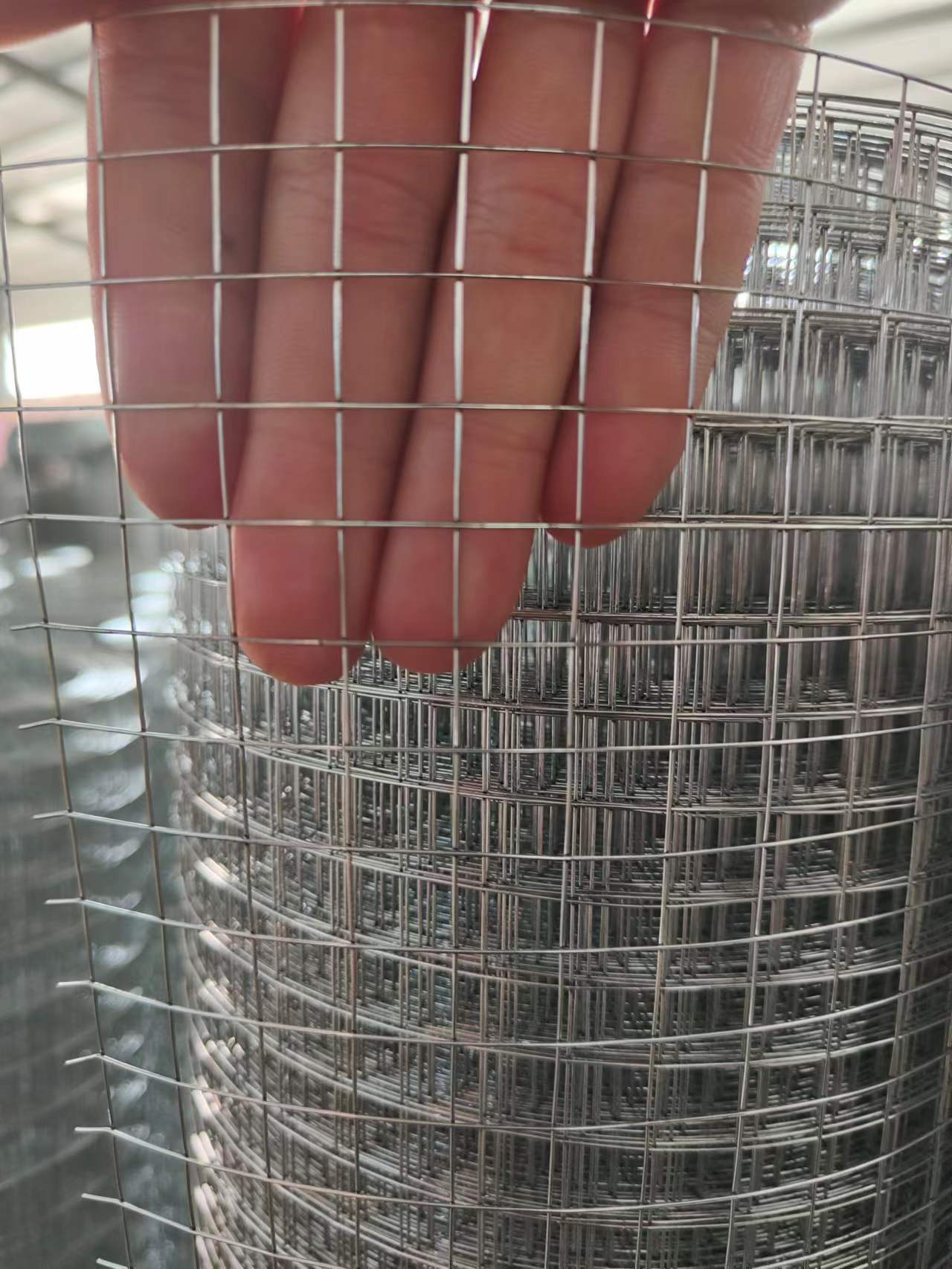 镀锌丝网焊接电焊网建筑工地内外墙抹墙网厂家生产铁丝网养殖卷网