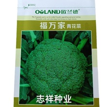 欧兰德青花菜种子 中早熟热西兰花65天夏秋种植蔬菜西蓝花籽1克