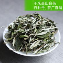 白茶白牡丹茶叶福建政和福鼎千米高山老白茶散茶茶饼绿行茶厂批发