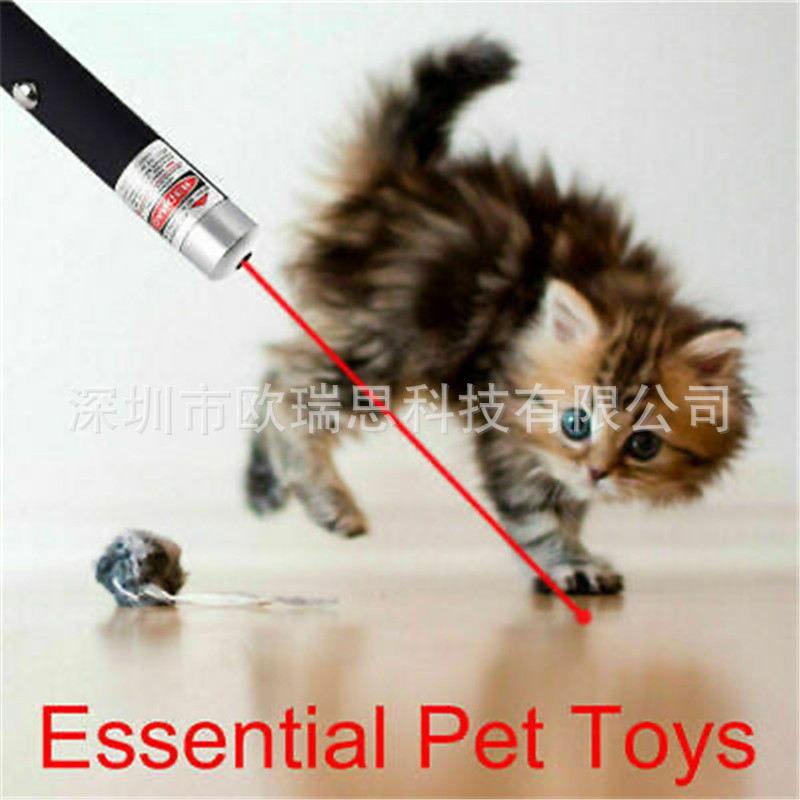 Exclusive for Cross-Border Factory in Stock 650 Nm5mw Red Single-Point Laser Pointer Sand Tray Sales Funny Dogs and Cats