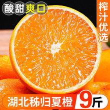 湖北秭归夏橙9斤时令新鲜当季水果甜橙果冻手剥脐橙整箱大果包邮