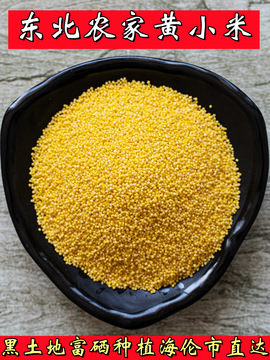 东北黄小米坐月子新小黄米粗粮食用糯油粘养胃小米粥五谷杂粮5斤