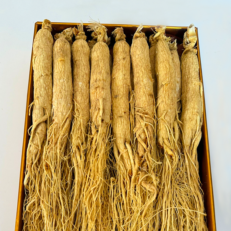 人参长白山野山参林地参8年生晒参250g 500g35支干人参材白参