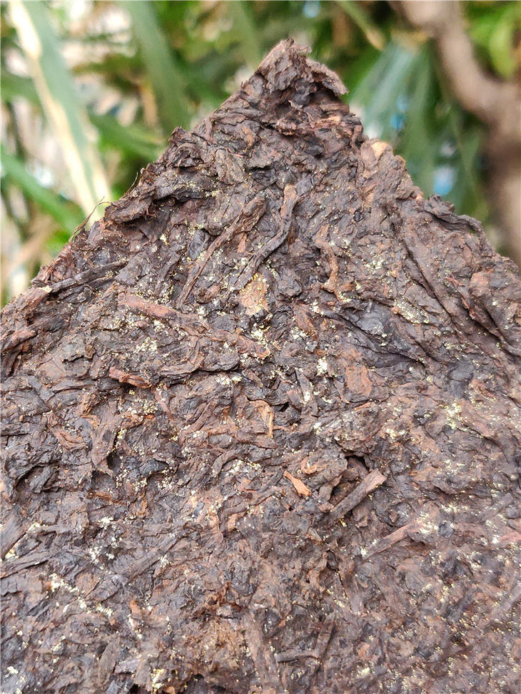 云南普洱茶老茶2016年金花茶砖500g古树老熟茶砖普洱茶叶熟茶砖