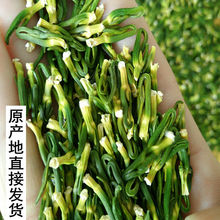 2021年精选江西莲子心茶新鲜广昌莲芯去火连心干货100g-500g