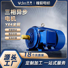 现货YE4全铜 0.55kw-3kw三相异步电动机 二级能效节能马达4极转速