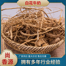 厂家供应广西白花牛奶根 白花牛奶根煲汤料 白花牛奶根批发