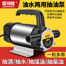 油水两用泵电动泵小型柴油正反转抽水泵12V24V220V自吸泵抽油神器