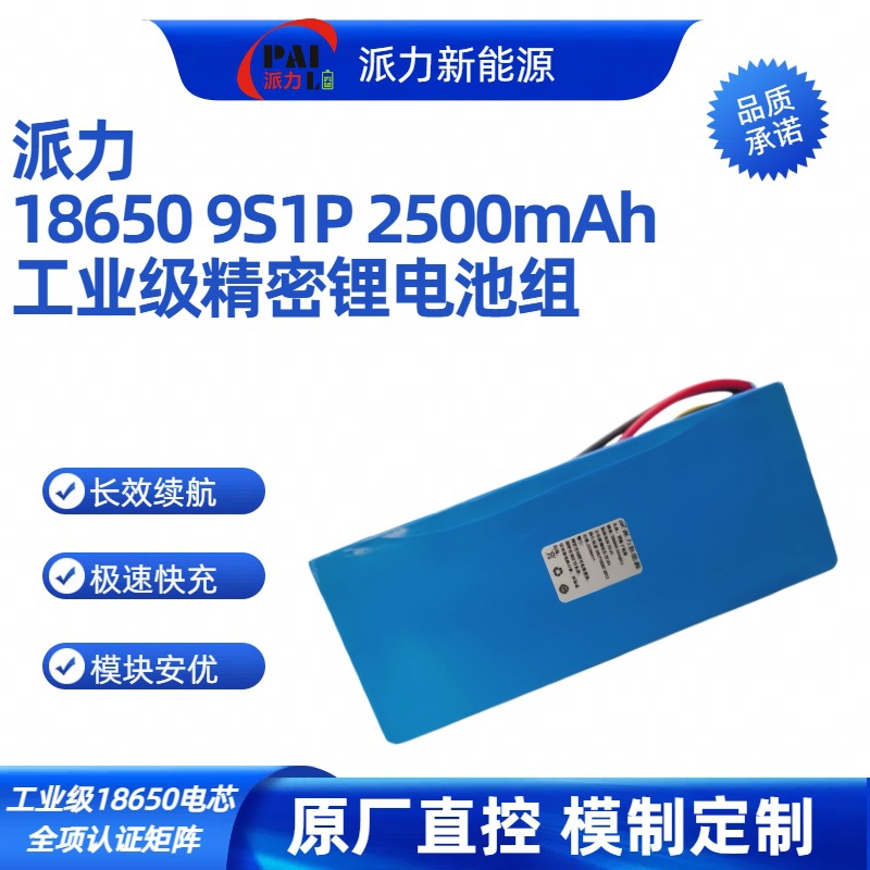 派力工业设备专用锂电池 32.4V 2.5Ah 9S1P18650电芯医疗仪器专用