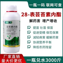 爱普瑞28表芸苔素内酯促进生长壮苗促进根系生长调节剂农药批发