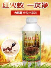 达豪杀蚁饵剂灭红火蚁500g瓶装户外野地林地用蚂蚁药除蚂蚁全窝端