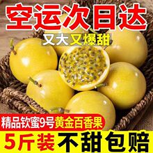 广西钦蜜9号黄金百香果特大果孕妇水果甜5斤批发厂家直销跨境混批