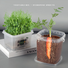 创意迷你植物儿童种植小盆栽水培育苗盘土养根系生长观察盒小学生