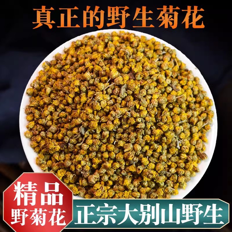 【真野生】野菊花茶药用野菊花正品野菊米苦小干米菊野菊花中药材