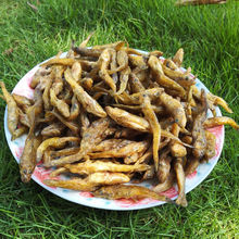 宁波特产海鲜干货精品海苔条干苔菜条干浙江新鲜淡晒干海苔菜粉条