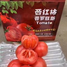 山东海阳普罗旺斯西红柿沙瓤水果西红柿当季新鲜果蔬非铁皮柿子