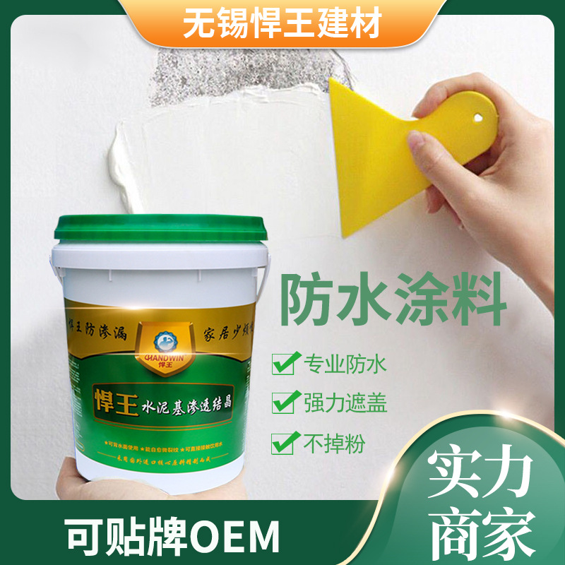 水泥基渗透结晶型防水涂料地下室内墙屋顶背水面水池防潮补漏堵漏