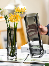 轻奢创意高级感原色玻璃透明花瓶客厅软装饰水养水培鲜花插花摆件