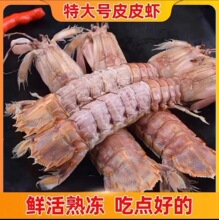 Ⅲ新鲜食材皮皮虾海鲜虾鲜鲜活商用餐饮冷冻源头厂家批发椒盐自助