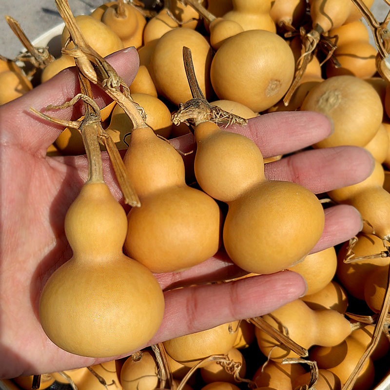 85jv天然手捻小葫芦手把件带龙头精品文玩挂件手盘特小迷你摆件真