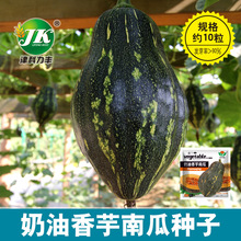 蔬菜种子公司批发奶油香芋南瓜种子香甜粉糯肉厚杂交一代约10粒