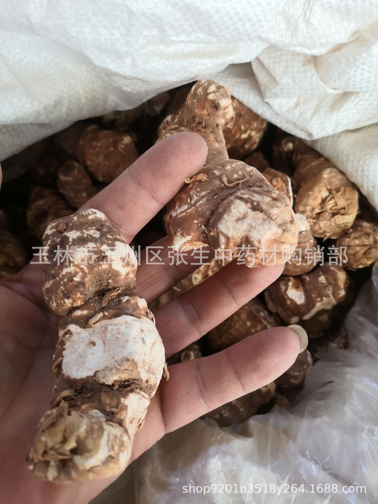 中药材云南重楼新货批发蚤休七叶一枝花重楼个重楼片规格 500克