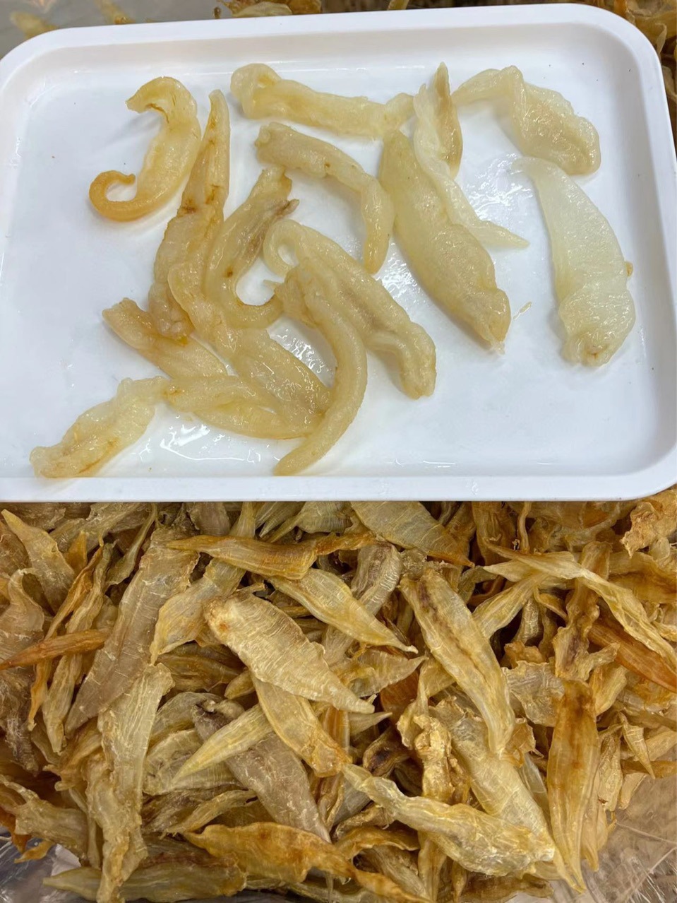 花胶小鱼胶干货深海200头小金龙胶 小北海鳌鱼胶鱼肚滋补一件代发