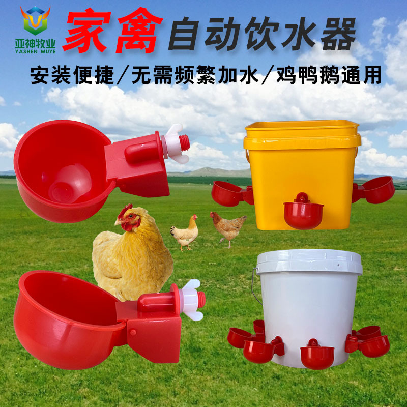 1鸡用自动饮水碗养鸡用网红碗家庭散养鸡用喂水碗鸡用自动饮水器