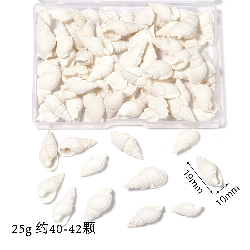 Natural Conch and Shell Boxed Non-Hole Babylonia Areolata Snow Shell Box Material Package DIY Ornament Set Props