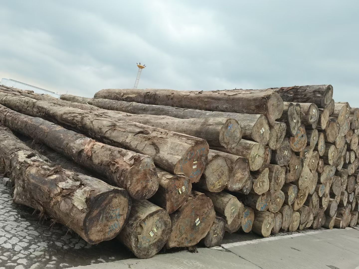 厂家直供 黄硬木原木 进口黄硬木批发 防腐硬木木料 硬木板材批发