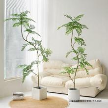 摆件装饰蓝花楹绿植落地室内盆栽假树仿生植物旁客厅沙发盆景绢花