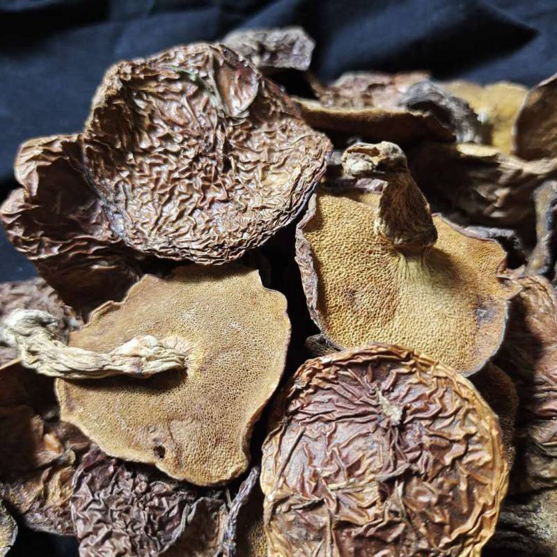 【松蘑】内蒙赤峰野生菇干货松娥粘团子100g500g天然干货包邮