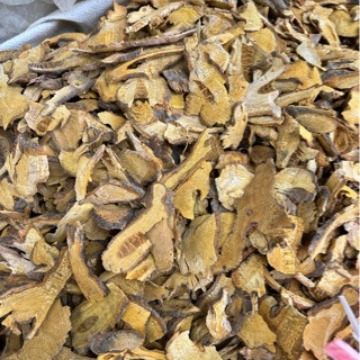 批发优质虎杖-阿里巴巴