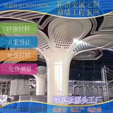 雕花铝单板造型镂空建筑外墙板材氟碳建筑雕刻板金属幕墙工程案例