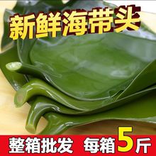 盐渍海带头5斤新鲜厚片荣成海白菜级片丝根火锅昆布半干货1斤