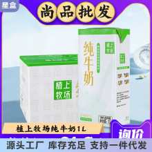 公司金健宁夏牧场纯牛奶整箱学生牛乳营养儿童早餐奶开门红瓶装