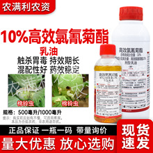 10%高效氯氰菊酯杀虫剂正品氯氰菊酯高效氯氰菊酯棉铃虫杀虫药