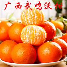 广西武鸣沃柑新鲜应季水果柑橘橘子非皇帝柑桔子批发一件代发