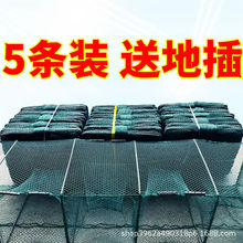 (五条价)地虾笼加重鱼网渔网捕鱼逮虾泥鳅黄鳝笼捕虾鱼笼加厚折叠