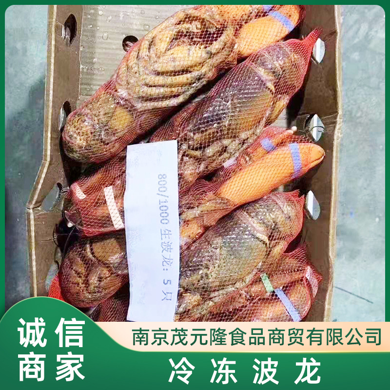 熟波龙 冷冻 波龙虾 波士顿龙虾 熟冻龙虾小龙虾 自助餐宴席-阿里巴巴