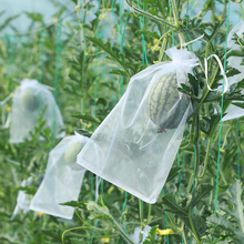 水果套袋果实网袋番茄葡萄无花果草莓防虫防鸟保袋草莓透气网套