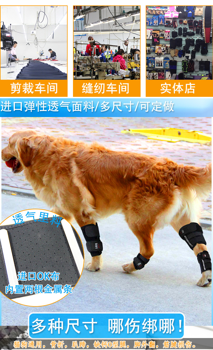 狗骨折固定夹板短关节护腿趴蹄o型腿矫正猫骨折金毛泰迪前腿后腿