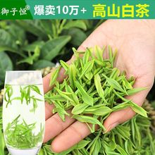 珍稀高山白茶2023新茶叶上市正宗春茶绿茶明前茶叶散装嫩芽御子恒