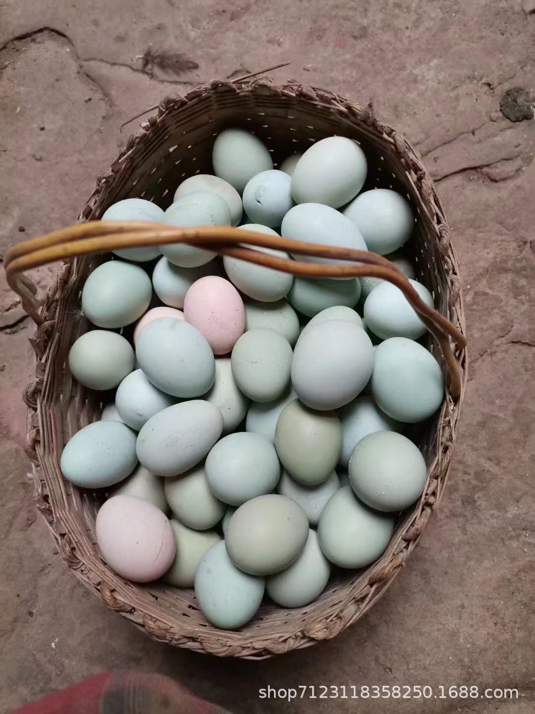 四川本地绿壳鸡蛋新鲜农家散养放养四川成都旧院绿壳乌鸡蛋-阿里巴巴
