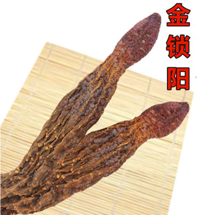 锁阳正品甘肃野生特级男泡茶水泡酒中药材店铺肉苁蓉淫羊藿金锁阳